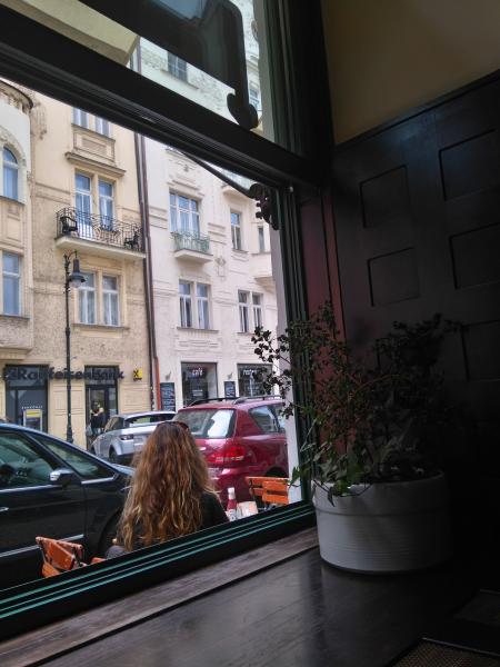 výhled na zahrádku